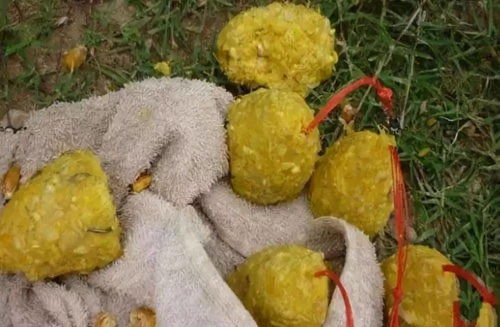 揭秘！这款自制糍粑饵料，让鱼儿疯狂咬钩的秘诀全在这里！