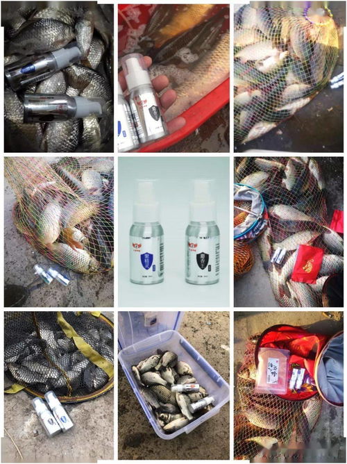 钓鱼饵料没有漂动怎么办？这5个原因你中了几个？