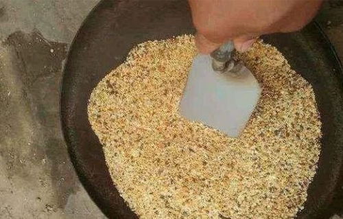 蚊香液变饵料？钓鱼界的神奇发现！