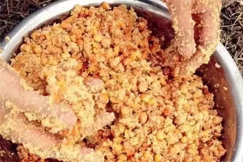 面食钓鱼饵料盒的使用方法 面食钓鱼饵料盒的使用方法