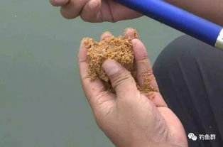 钓鱼饵料混了泥巴怎么办？这些方法帮你轻松解决！