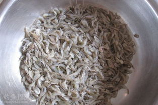 虾粉钓鱼饵料制作与使用全指南 虾粉钓鱼饵料制作与使用全指南