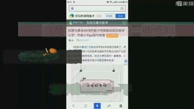 文星钓鱼饵料怎么样，全面评测与用户反馈