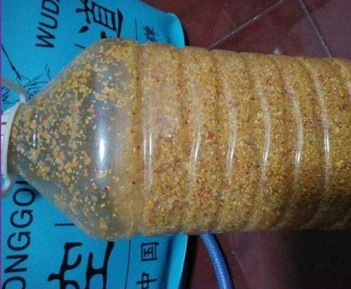 垂钓饵料窝料的正确使用方法