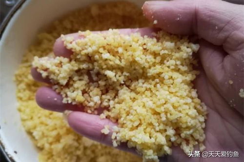 钓鱼饵料小鱼打窝的正确方法