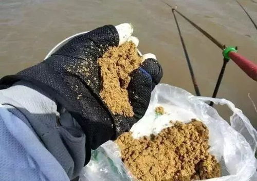 钓鱼饵料山药怎么用的图片，从准备到使用的完整指南