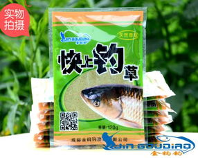 掌握海霸王钓鱼饵料使用秘籍，附视频教程详解