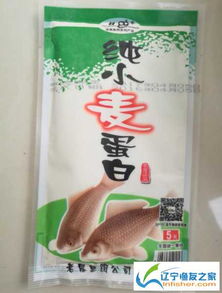 如何撰写揭露钓鱼饵料的句子，揭秘与技巧