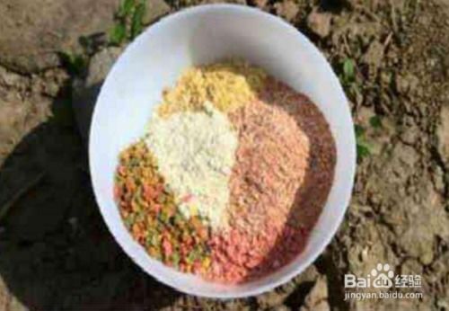 黑麦糖，钓鱼饵料的隐藏高手