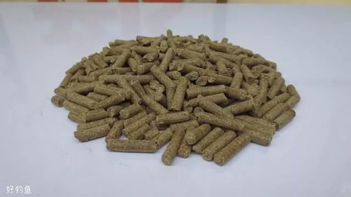 钓鱼饵料夹怎么用颗粒的?颗粒饵料夹使用全攻略 钓鱼饵料夹怎么用颗粒的?颗粒饵料夹使用全攻略