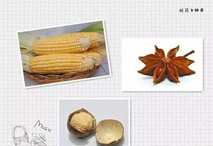 自制小物钓鱼饵料，简单配方与实用技巧