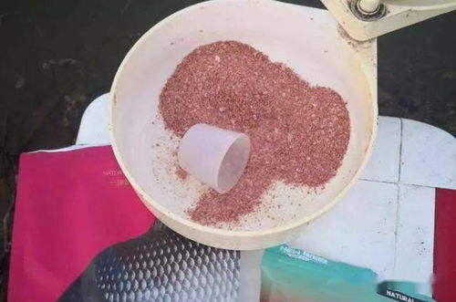 四月钓鱼饵料怎么搭配？这份春季钓鱼饵料指南请收好！