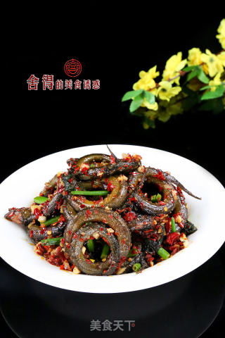 黄鳝的诱惑，从钓鱼饵料到餐桌美味