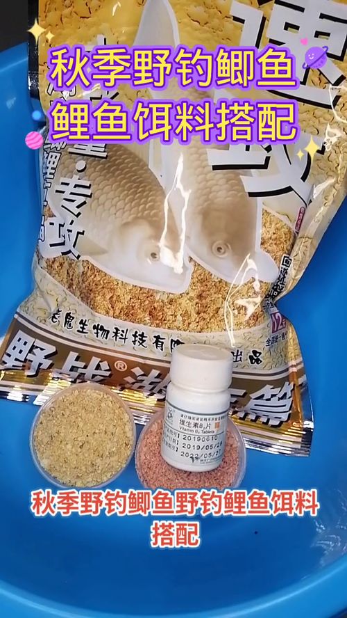 自制钓鱼鱼饵料的全面指南