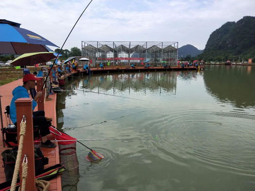 动态钓鱼饵料,如何用活的诱惑钓上大鱼? 动态钓鱼饵料,如何用活的诱惑钓上大鱼?