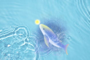 蛋白虫钓鱼饵料的最佳使用方法