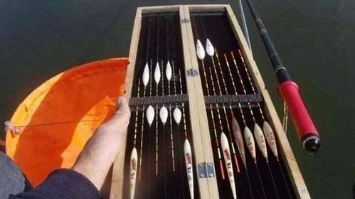 水深该怎么选浮漂钓鱼饵料