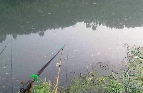 农村钓鱼饵料怎么做好吃,农家自配饵料秘籍