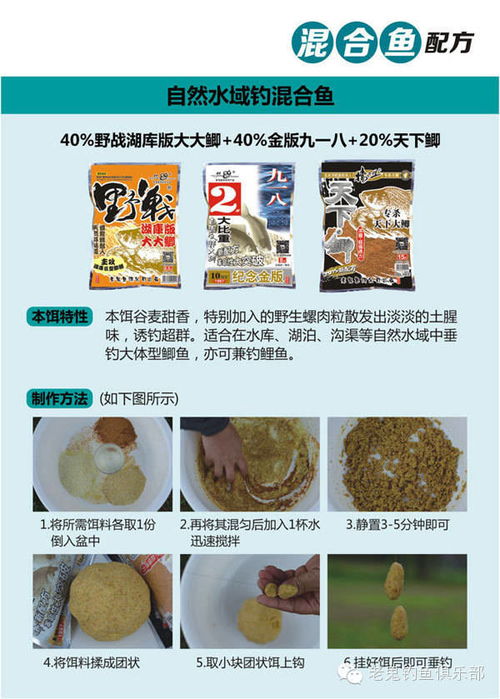渔夫人钓鱼饵料怎么样,全面评测与用户反馈