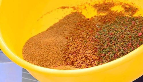 钓鱼饵料花钱不花怎么办?这些方法让你省钱又高效