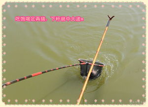 钓鱼饵料纸片制作与视频教程,轻松DIY提升钓鱼乐趣