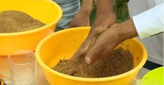 钓鱼饵料秘制酒泥巴的制作与使用技巧