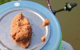 如何配制高蛋白虫子钓鱼饵料，钓鱼爱好者的终极指南