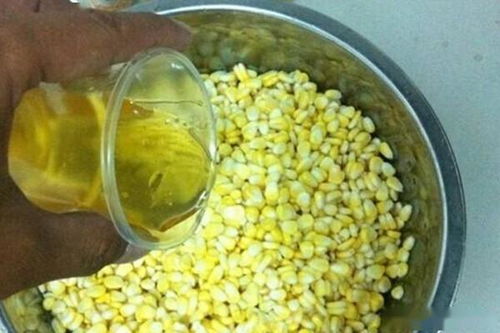 钓鱼饵料加海苔好吗?这样添加效果翻倍!